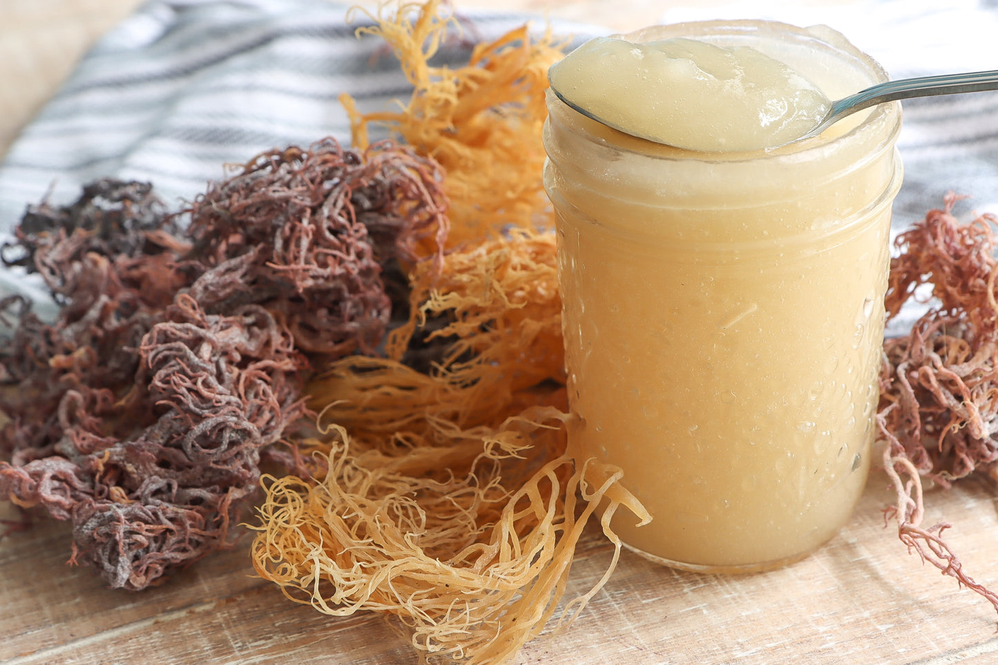 Wild Crafted Jamaican Gold Seamoss