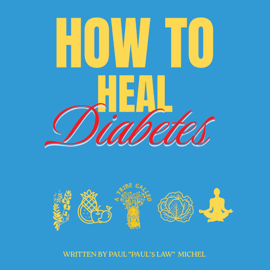 BlOOD SUGAR WELLNESS GUIDE BY PAUL'$ LAW (E-BOOK PDF)