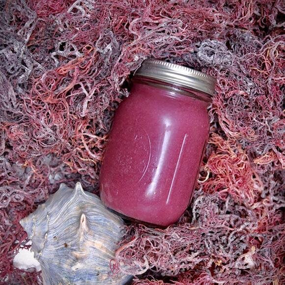 Wild Crafted Jamaican Purple Seamoss